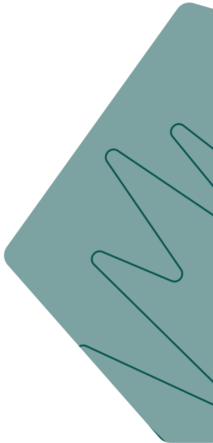 Shape 2